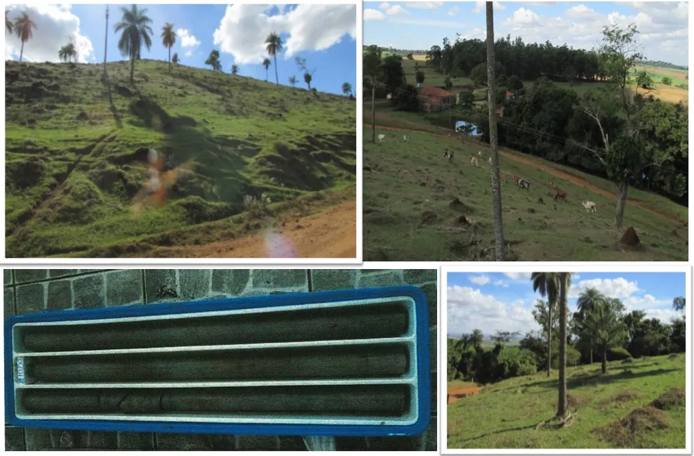 Basalto para Brita e Remineralização de Solo – Região de Ribeirão Preto/SP – Brasil