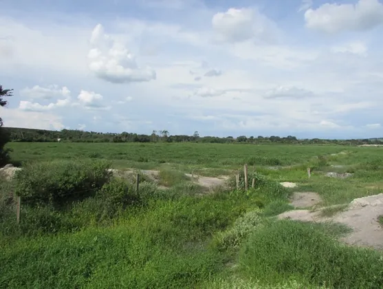 Argila Branca para Revestimento e Areia para Construção – São Paulo/SP – Brasil
